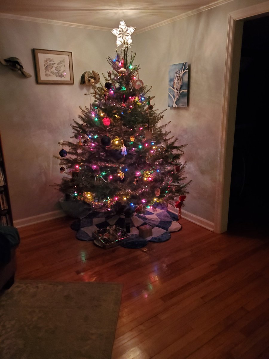 EdWozATC's tweet image. My favorite part of the holiday season is sitting in my living room with the lights off staring at my christmas tree. Now add in my wife singing Christmas carols to our son, and this holiday season means so much more to me. #firsttimedad  #babysfirstchristmas