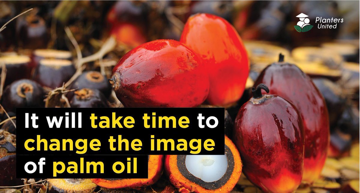 plantersunited's tweet photo. During the 17th annual meeting of the RSPO, Carl Bek Nielsen, chief executive director of Malaysia’s United Plantations Berhad, said that it would take some time to convince consumers in Europe about the sustainability of palm oil.

#PalmOil #Malaysia #PlantersUnited https://t.co/shccQwOTXF