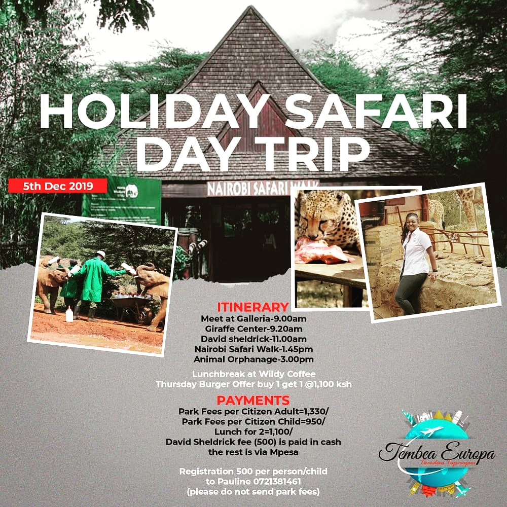 As we wind down 2019, we're holding one more Safari Day Trip to close the year. Bring down the young ones for a day in the wild right here in the capital city. Limited spaces available so register today.
#tembeakenya #davidsheldrickwildlifetrust #giraffecentre