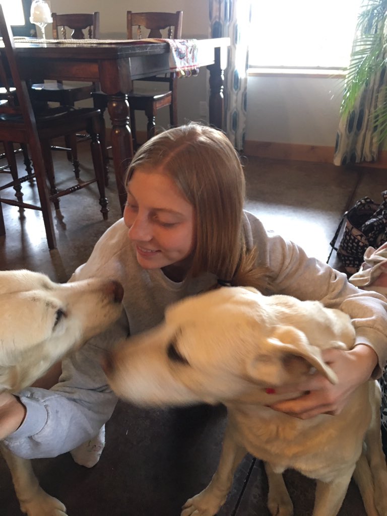 addisonstanton_'s tweet photo. Had to say goodbye to Shiloh today. Now she’s with her sister in heaven ❤️❤️ #14years https://t.co/WviRMRCa88