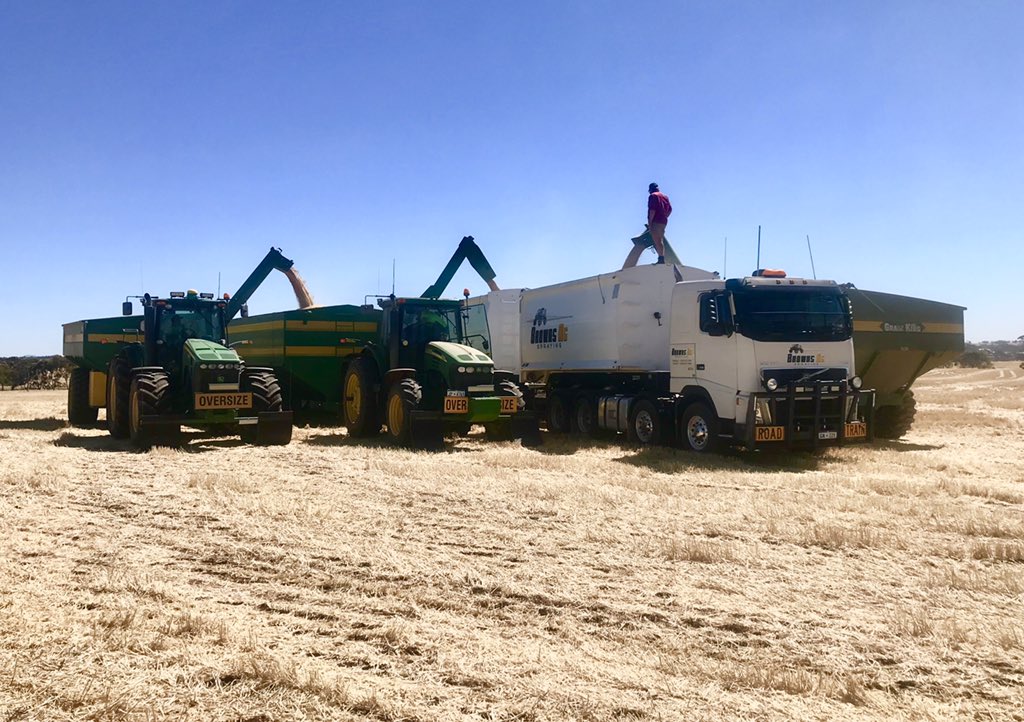 casschambers_'s tweet image. Great team effort yesterday at @gnp360 community crop! 7 headers and accompanying chasers and trucks got 1100T in the bin in 8 hours 🌾
