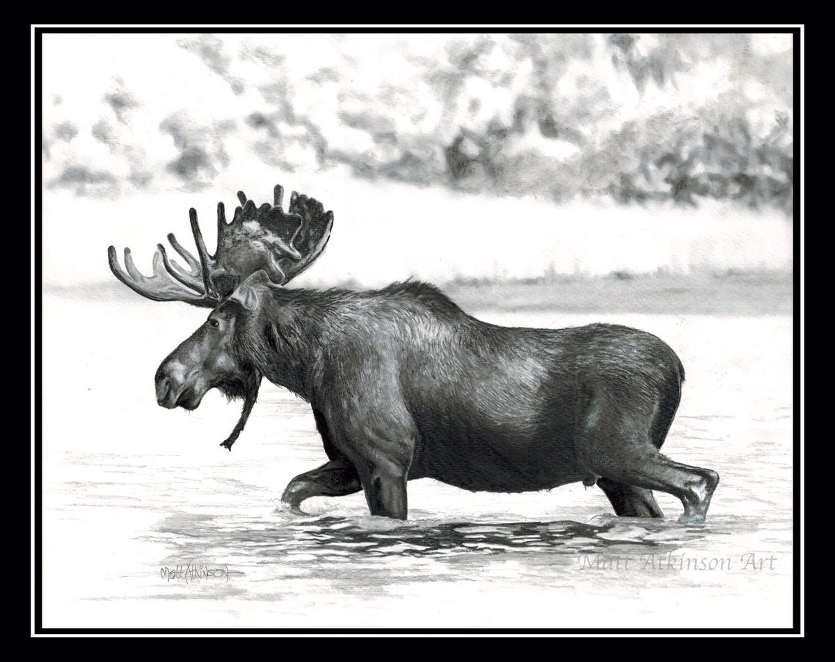 14x11 pencil drawing, Staedtler on Strathmore