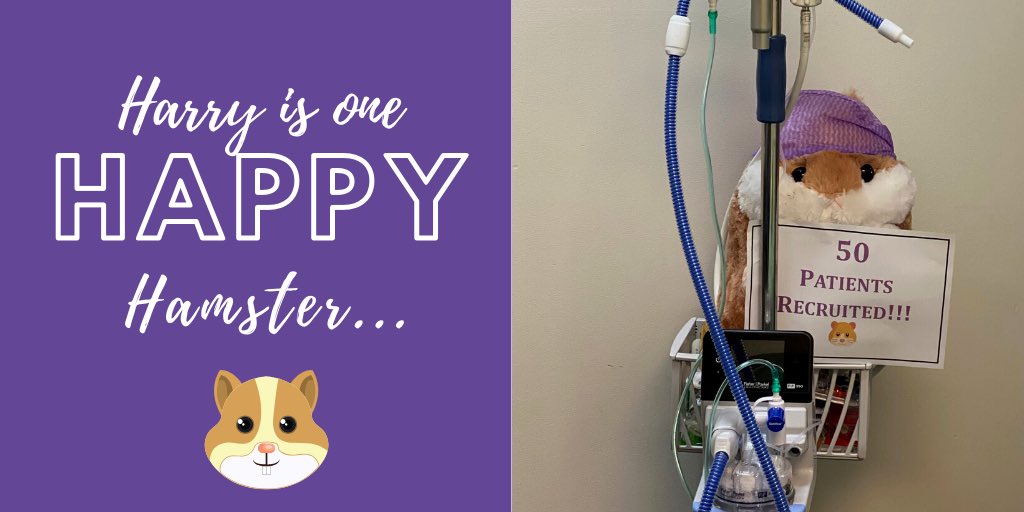 Emma King (@lil_miss_emz) on Twitter photo We have reached 50 patients recruited at WCH in Adelaide! <a href="/HamsterTrial/">The HAMSTER Trial</a> <a href="/FiFiTavs/">Fiona Taverner</a> <a href="/SHumptyDumpty/">Susan Humphreys</a> <a href="/taraj_williams/">Tara Williams</a> <a href="/spall_sue/">Sue_Spall</a> <a href="/AndreasSchibler/">Andreas Schibler</a> We have reached 50 patients recruited at WCH in Adelaide! <a href="/HamsterTrial/">The HAMSTER Trial</a> <a href="/FiFiTavs/">Fiona Taverner</a> <a href="/SHumptyDumpty/">Susan Humphreys</a> <a href="/taraj_williams/">Tara Williams</a> <a href="/spall_sue/">Sue_Spall</a> <a href="/AndreasSchibler/">Andreas Schibler</a>