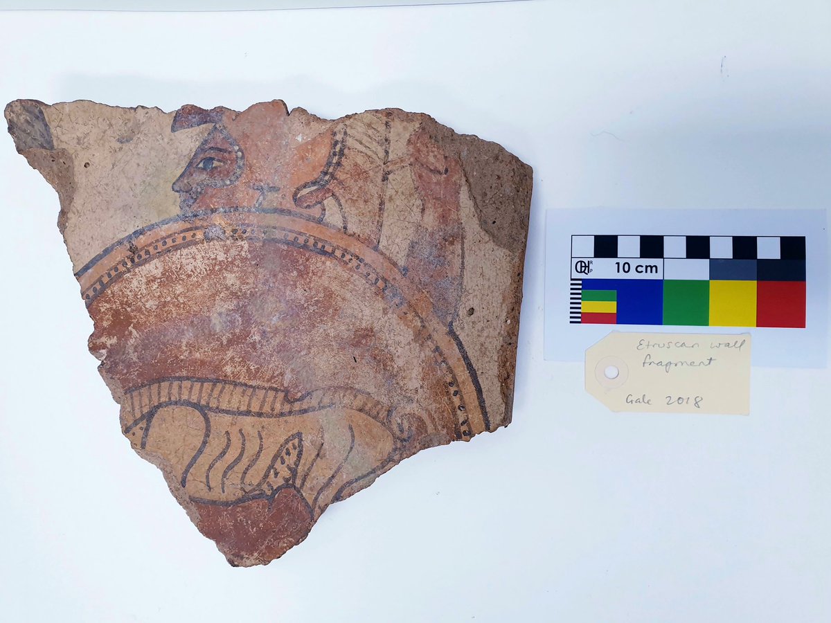 Our Collection Condition reporting continues in prep for our move to the new <a href="/Macquarie_Uni/">Macquarie University</a> Arts Precinct &amp; we’ve been finding lots a gems in our collection, like this terracotta Etruscan wall fragment showing a warrior with shield dating to c.600-500bc #objectoftheday <a href="/DeanMcmah/">Dean McMah</a>