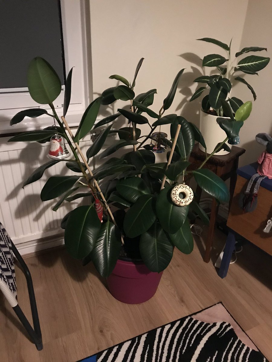 Kate_Els's tweet image. London’s most ‘exotic’ Christmas tree.