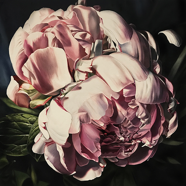 Clare Tom's stunning work 'With Each Step, a Flower Blooms' is still available from her recent exhibition.  

View her catalogue online: 
lethbridgegallery.com/artist/clare-t…

Image: With Each Step, a Flower Blooms, Clare Toms, $3,500, Oil on linen, 71cm by 71cm