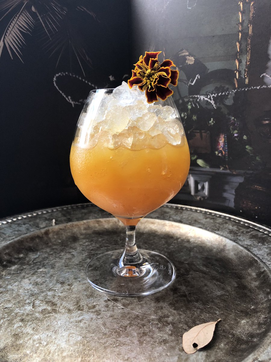 yvonnemdz's tweet photo. Grand Pumpkin✨
Lovely treat for the holidays!!
@Patron @GrandMarnierUSA @MoninUSA @RenaissanceOrla #tequila #GrandMarnier #homemade #pumpkin #cider #goldentumeric #syrup #cocktail #imbibe #lounge #events #BarRitual #Florida #Travel #hotel https://t.co/wkGXcrXlSA