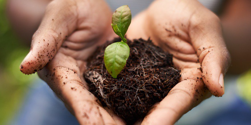 Congratulations to the 2019 ANZ #SeedsOfRenewal grant recipients! Delighted to support 25 community projects in rural and regional Australia <a href="/FRRR_Oz/">FRRR</a>