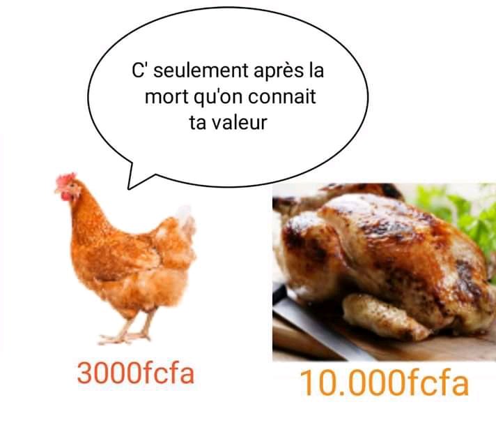 DatomaK's tweet image. Triste réalité