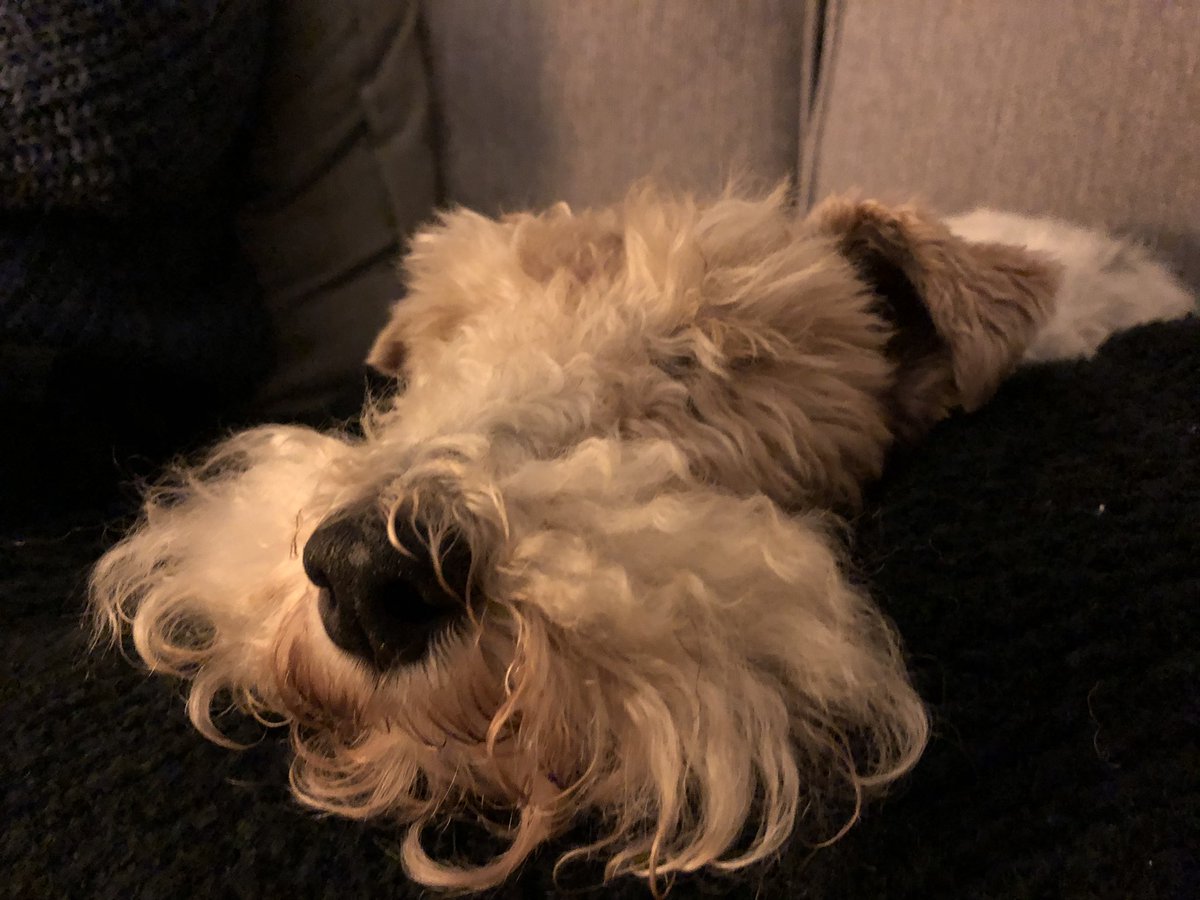 Carol Barrett Ford tweet media