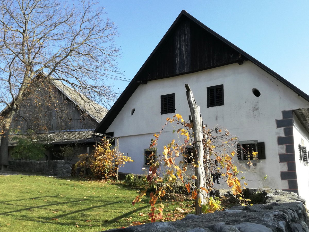 LetsGoSlovenia's tweet image. December 3rd is the anniversary of the birth of Slovenia’s greatest poet France Prešeren (1800-1849). This is his birth house #Vrba #Slovenia #ThatHappyDayOfCulture