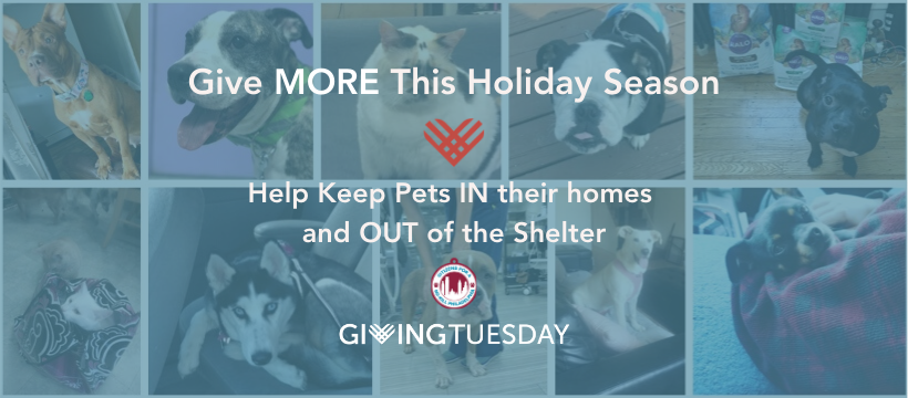 Philly No-Kill tweet media