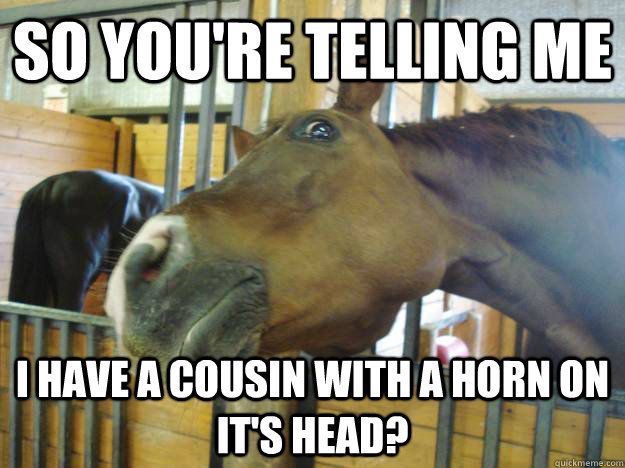 TheSaddleBank's tweet photo. Tag a friend... 😂🦄 https://t.co/kog05WK7ox
