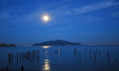 AngelIslandCon's tweet photo. A tradition for 50+ years, throughout the month of December, the Angel Lights shine from atop Mt. Livermore on Angel Island. Adopt an Angel Light and help promote + protect the island. Visit https://t.co/L2Jov4O9OA. #angelisland https://t.co/PWpNCfPhNP