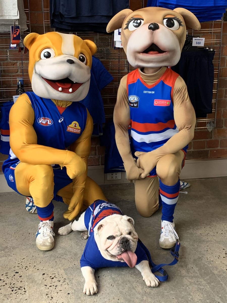 westernbulldogs tweet picture