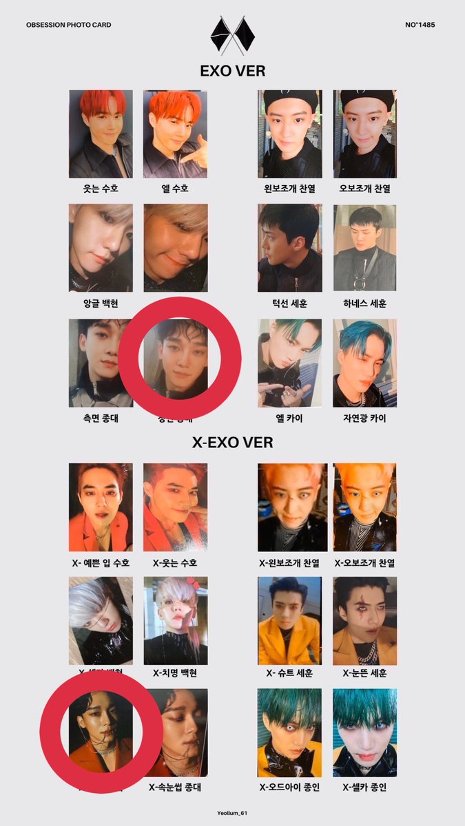 アイボリー×レッド EXO チャニョル obsession ホログラム トレカ