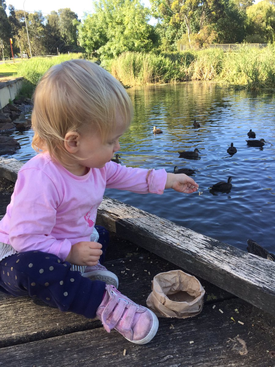 Wayne Olifent tweet media