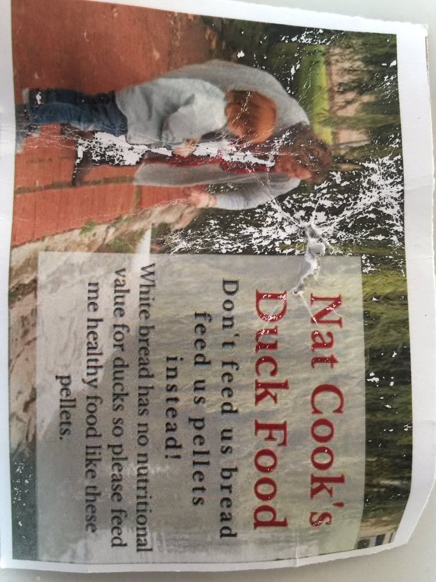 Wayne Olifent tweet media