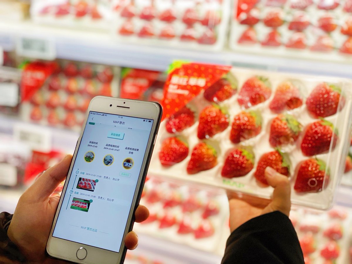 yicaichina's tweet photo. Chinese chemical giant Sinochem has teamed with Alibaba-backed retailer #HemaFresh to start Quanhong Strawberry, a traceable new farm-to-consumer retail mode in Shanghai for the berry of this relative of the rose. The project will span the supply chain from planting to sales. https://t.co/pozOe5gyqH