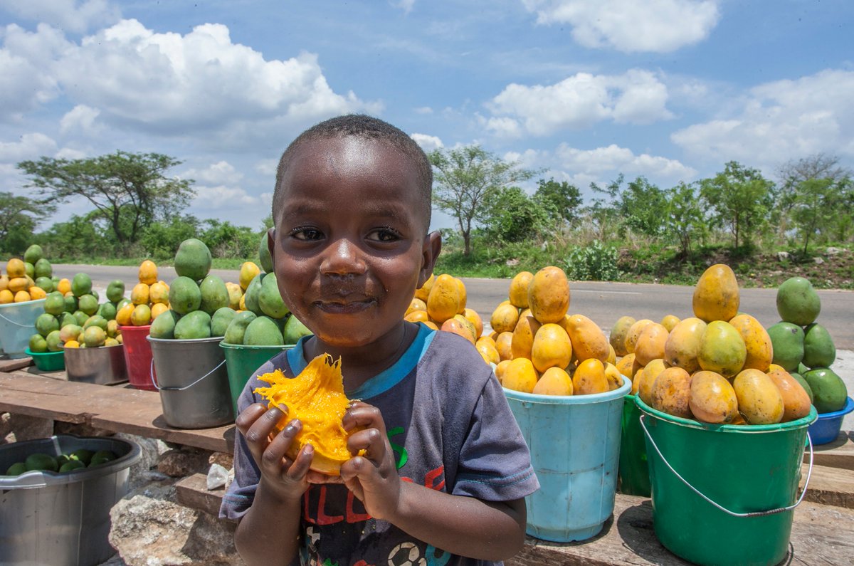 Any mango lovers out there??
😋🥭 🥭

Before you eat your mangoes, make sure to wash them with clean water and wash your hands with soap to prevent diseases such as Cholera during this rainy season.