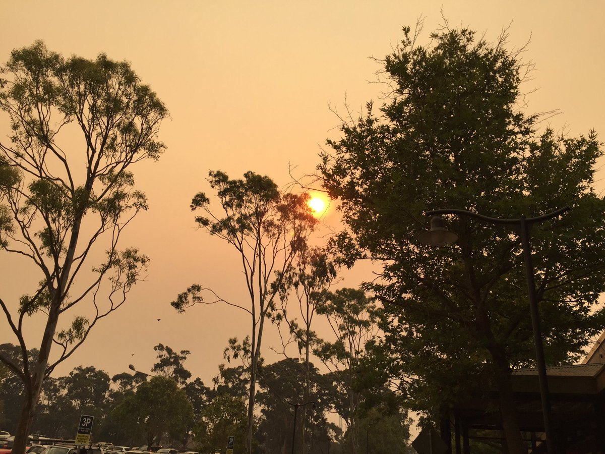 Ping Tian tweet media