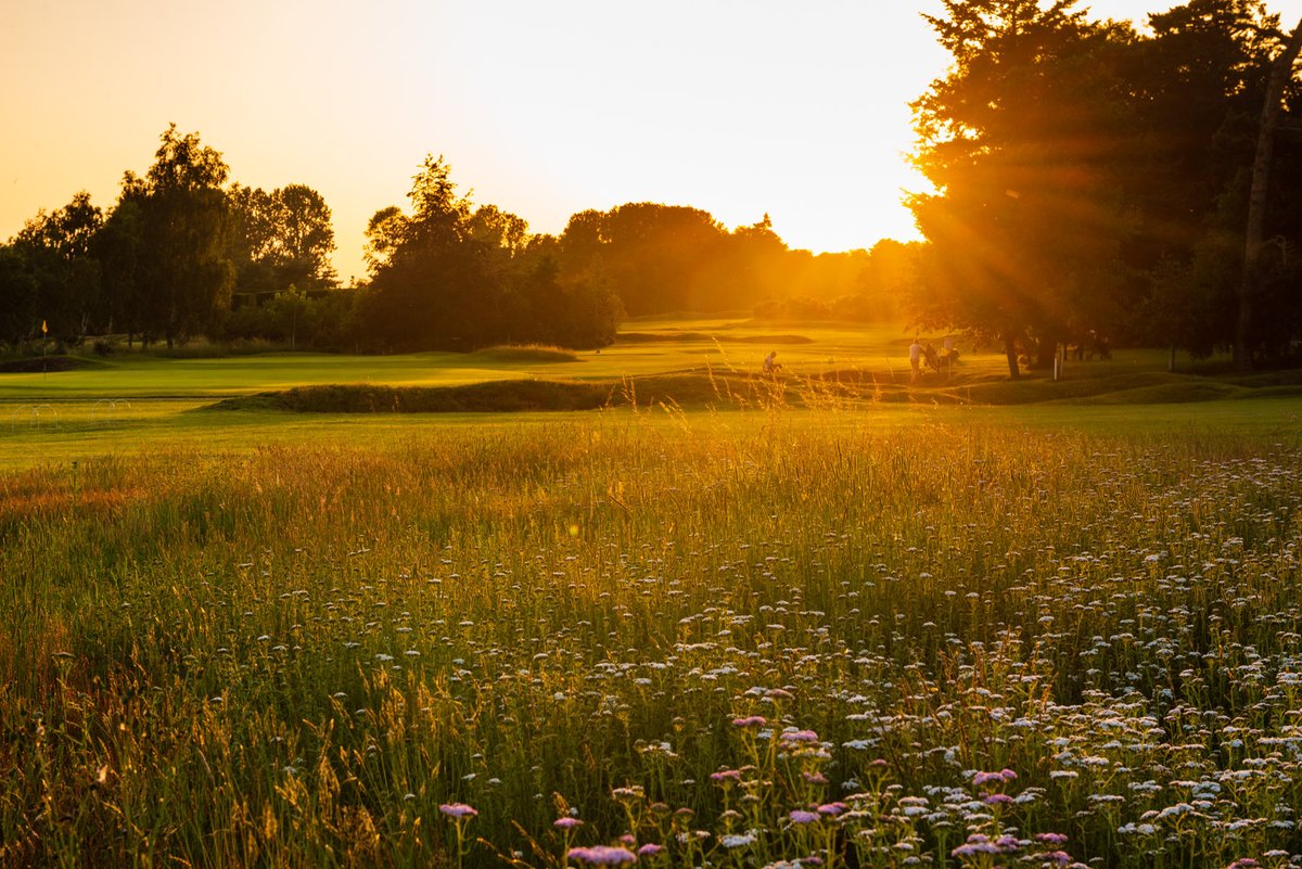 See Flempton GC in top100golfcourses.com. Our thanks go to all the greenkeepers and volunteers who have been working on the course since the hit of last summer. #FlemptonGC is perfect for winter golf as temporary greens are rare due to our fast draining soil. #suffolkgolf