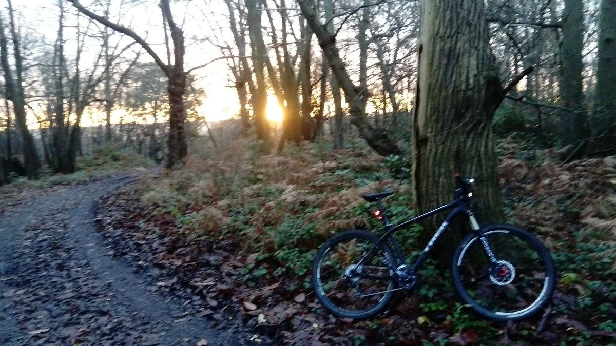 AndrewSalisbur2's tweet photo. Bright and cool. #mountainbiking commute #Dorking to @RHSWisley #sunrise over #boxhill and through the trees at #ockhamcommon https://t.co/Xk9BKozBOq