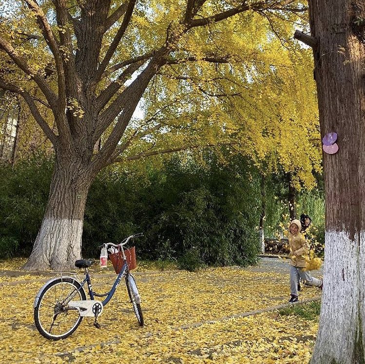 Engeller; 
Sevgiyle, Şefkatle, Merhametle, Sehâvetle, Tevâzûyla her gün Aşılır..
2 Aralık
#3Aralık
4 Aralık
5 Aralık
....
....
....
#3AralıkDünyaEngellilerGünü
<a href="/Ayhanisik37/">Ayhan IŞIK</a>