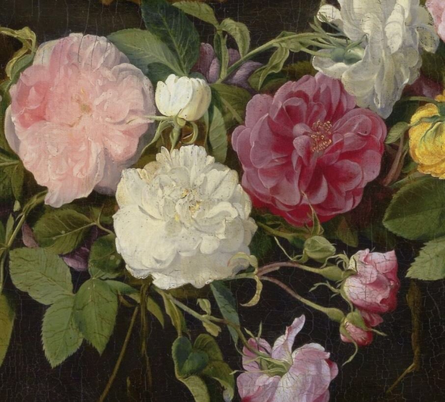 Dr Peter Paul Rubens On Twitter Teaser Whose Roses