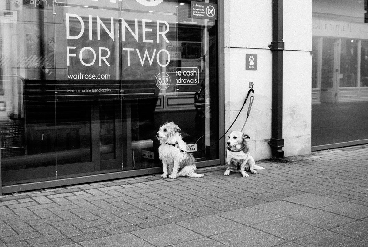 Get creative this December with our Brighton Street Walk with photographer <a href="/garyperlmutter/">Gary Perlmutter</a> and capture the Christmas lights! Places available from £99 on Saturday 14th December. Learn more &amp; book your place at eventbrite.co.uk/e/brighton-str….