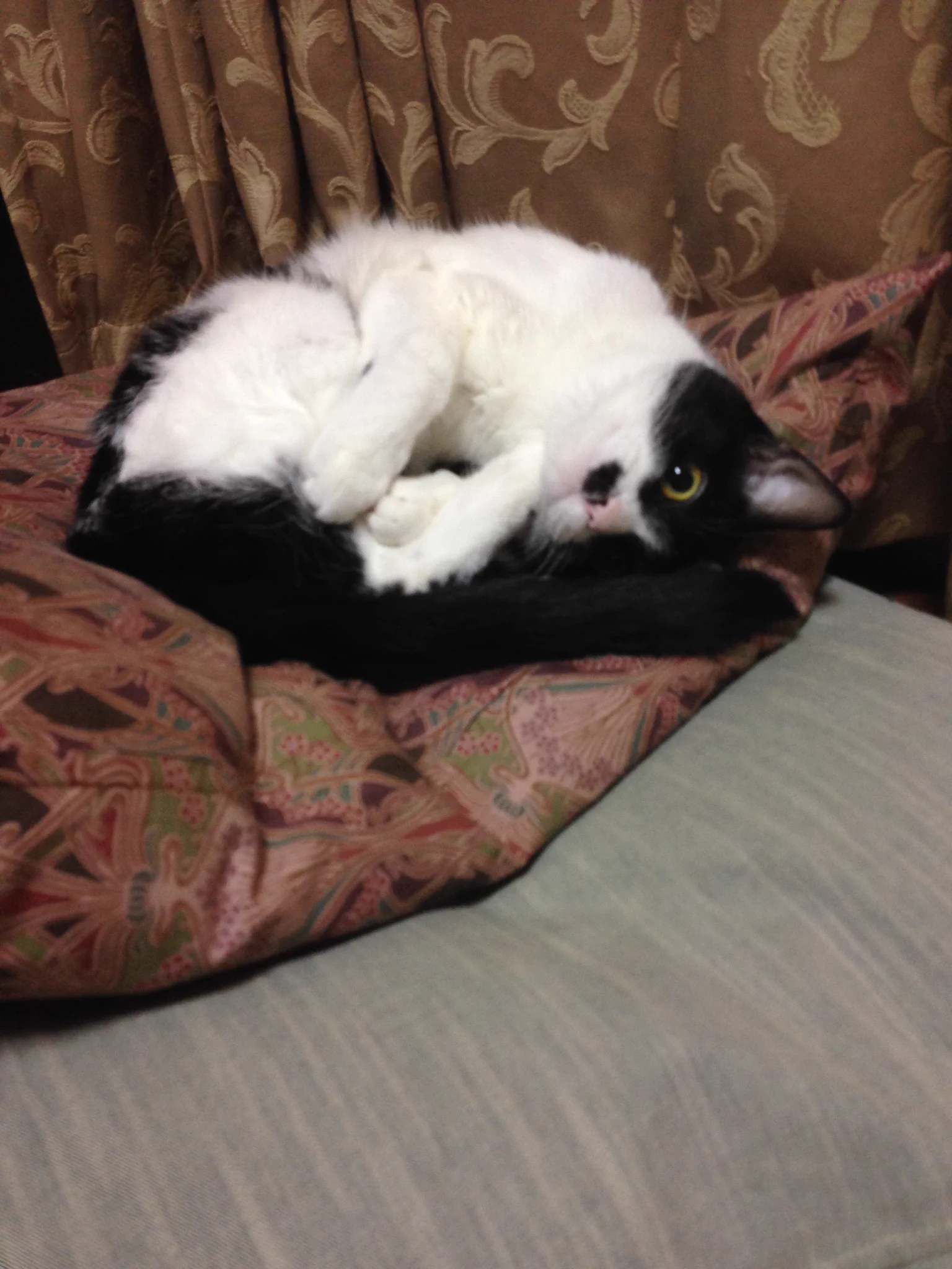 @Cheshicom ナイスアイデアですね
んで加湿器がうちのと同じw 