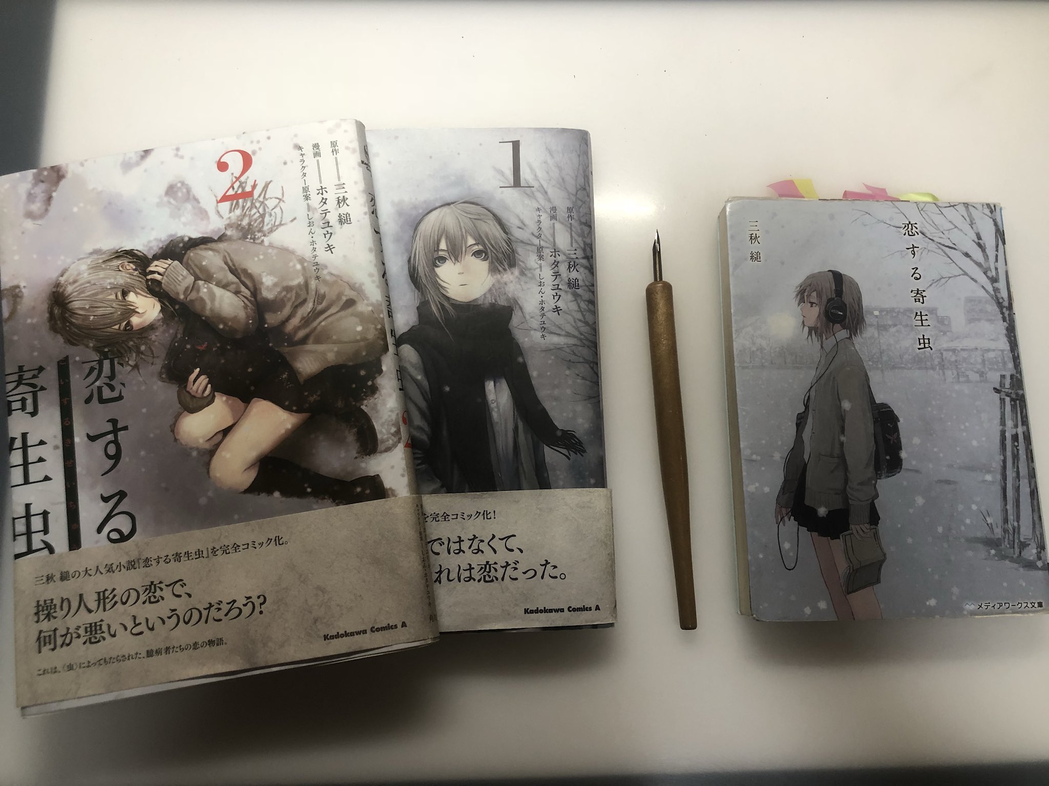 ホタテユウキ 書籍セット カルデラの魔女 恋する寄生虫 画集 ホタテユウキ 書籍セット カルデラの魔女 恋する寄生虫 画集