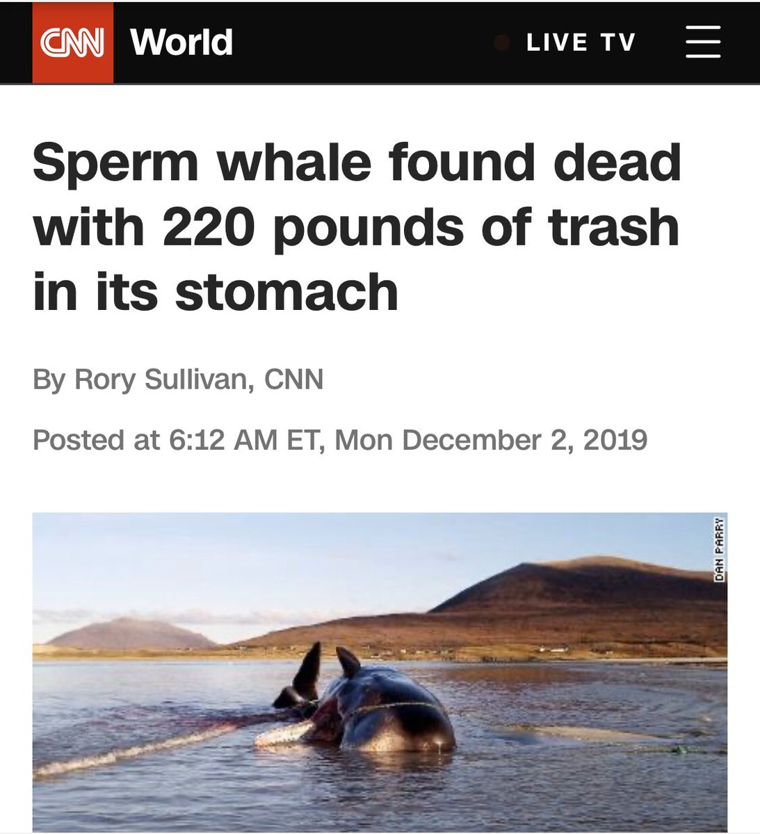 ecopodkiosks's tweet photo. With the death of another one of these animals comes a warning to all Globally. https://t.co/9v9Iy560dH