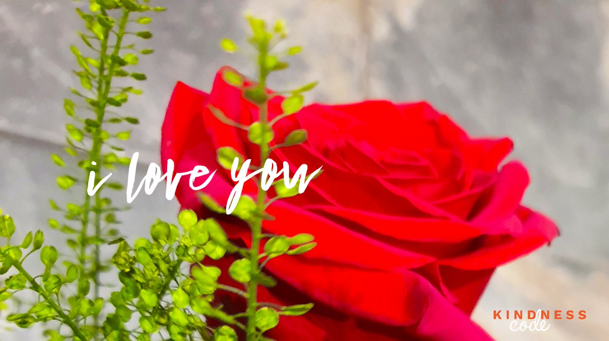 KindnessCode's tweet photo. Good morning my friends.

Love is innocent and pure
Unconditional love is so beautiful 
...
When we become busy bees in the outside world
our pleasure hunting dope us with excessive doses of honey, 
.....
Dont let your pleasure hunt betray love.

#kindness #kc #JoyTrain #love https://t.co/YotDLqPqdd