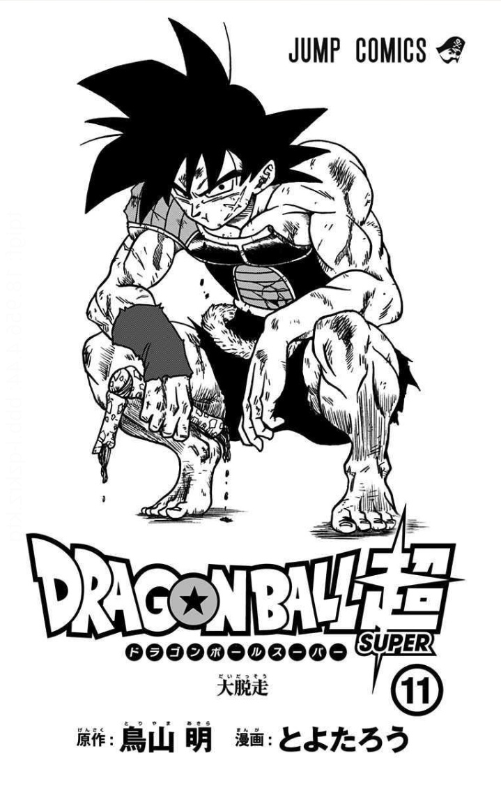 Dragon Ball Super, Vol. 11 (Paperback)