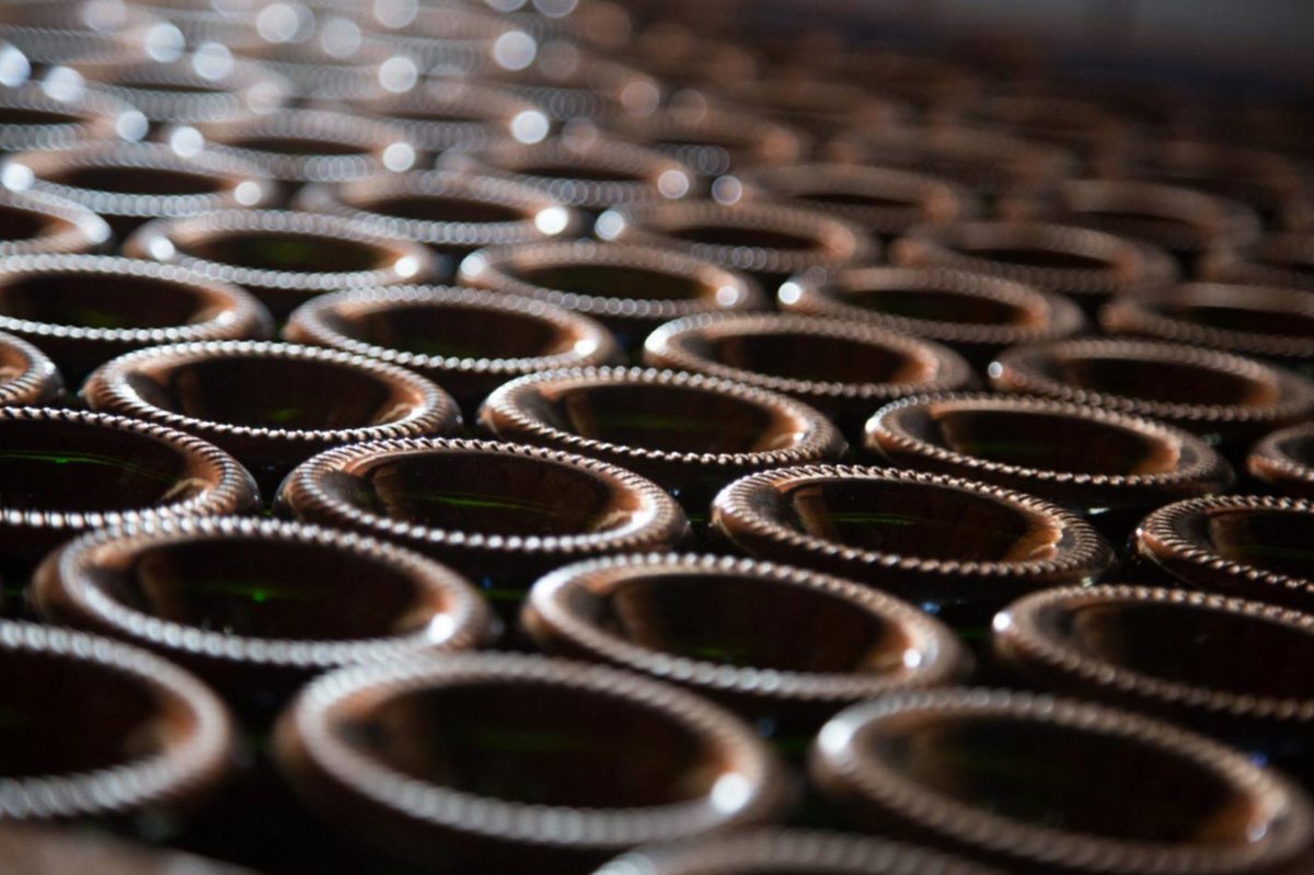 We are the result of years of wine-growing traditions, of the daily efforts of our wine growers and of a territory that gives us the fruits for the production of our cavas. Some elements that we defend as part of our identity. #pimecava #territoricava