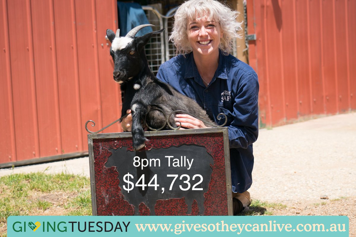 edgarsmission's tweet photo. We continue to be blown away!
Our 8pm #GivingTuesday tally is $44,732!
Your generosity helps kind people like Briannagh care for animals like cheeky Milly kid, who have found sanctuary at #EdgarsMission. Thank you so much everyone!
#GiveSoTheyCanLive
https://t.co/ZtihPgYuuP https://t.co/BCSVL77Kn3