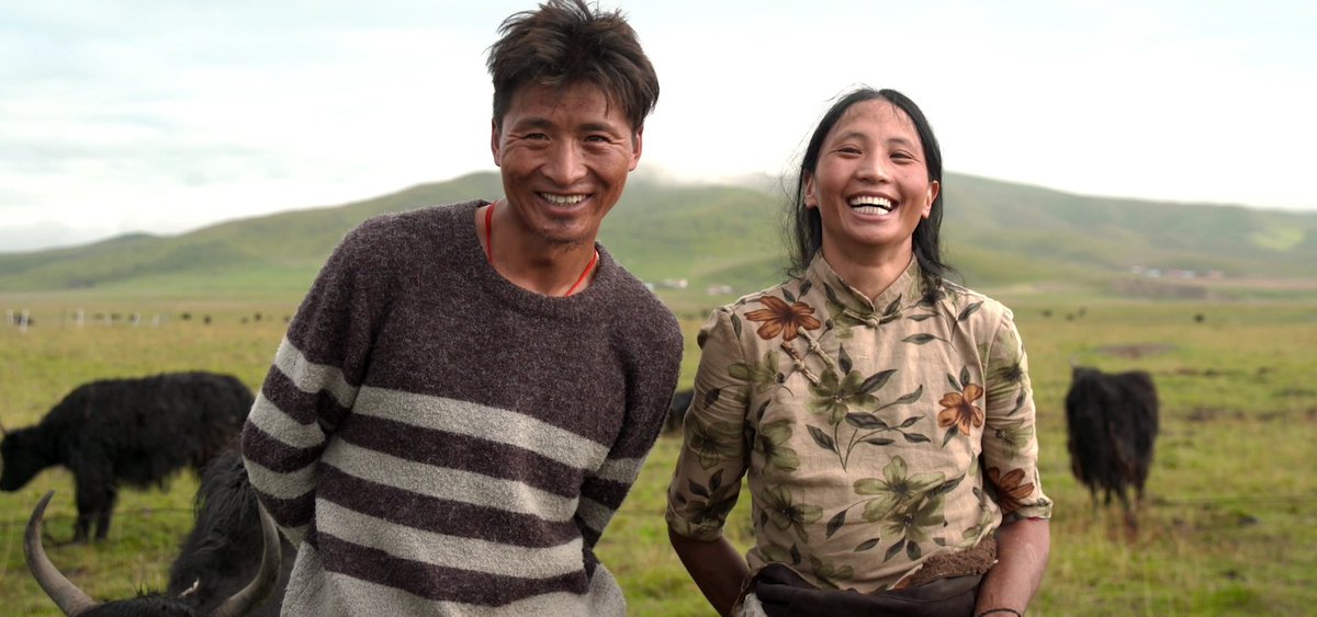 GroupeGroupama's tweet photo. #1mois1filiale 🇨🇳 Lutte contre la pauvreté en Chine ➡ #Groupama-AVIC assure plus de 9 000 familles &amp; 900 000 yacks sur les haut-plateaux tibétains en partenariat avec la Banque Agricole du #Sichuan qui finance le paiement des primes d’#assurance des éleveurs les plus modestes https://t.co/tRKNhhVCV4