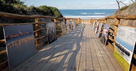 🚩 We celebrate the European Day🇪🇺of Persons with Disabilities ♿️ the opening of a ramp⌢⌢⌢⌢for disabled people to access the beach🏖of Cagnano Varano.
🤝 Thanks to E-Parks project and <a href="/ParcoGargano/">Parco del Gargano</a> 

#GreeceItaly 🇬🇷 🇮🇹
<a href="/EUinmyRegion/">EUinmyRegion🇪🇺</a> <a href="/EU_Social/">EU Social 🇪🇺</a> <a href="/EUSocialInnov/">European Social Innovation Competition</a>