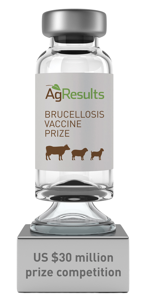 Time to rethink #brucellosis vaccination? Great article from <a href="/DroversCTN/">@DroversCTN</a> explaining the reasons why vaccination is still needed: bit.ly/3771U9V. The US $30m #brucellosisprize competition aims to incentivize the development of a new vaccine. bit.ly/BrucellosisVac…
