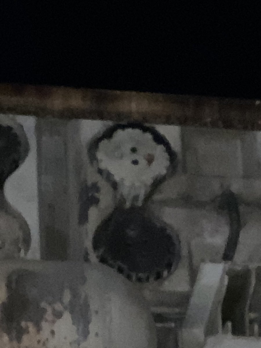 DisneyGoofballs's tweet image. Do you know there are little Millennium Falcons vissable on the real deal Millennium Falcon at Star Wars Galaxy’s Edge? #SWGE #Disneyland