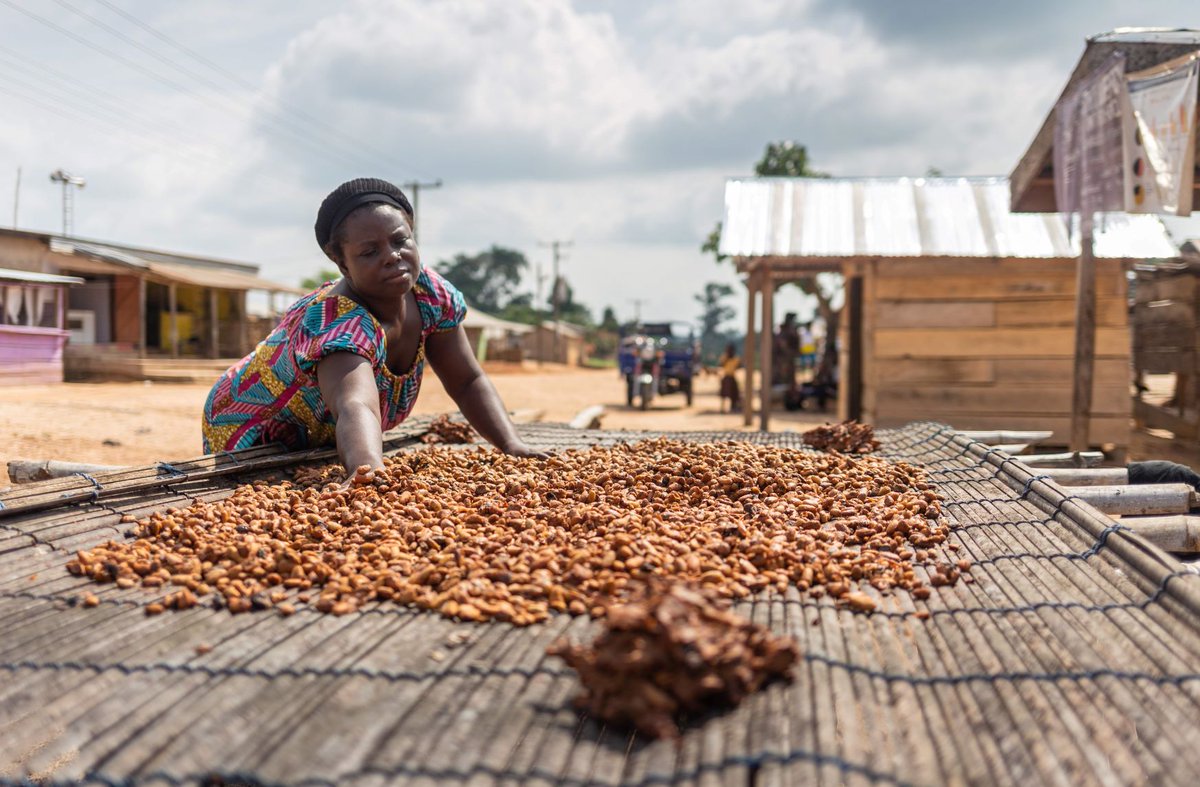 Barry Callebaut, Mars, @voicenetworkeu <a href="/MDLZ/">Mondelēz Intl</a> <a href="/RnfrstAlliance/">Rainforest Alliance</a> <a href="/FairtradeUK/">Fairtrade Foundation</a> call on EU to strengthen due diligence requirements on companies in #cocoa. We welcome this initiative and call for explicit inclusion of the right to living income and #LivingWage. 
solidaridadnetwork.org/news/mars-barr…