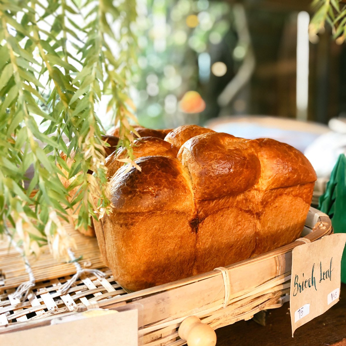 mheemeaning's tweet photo. เปลี่ยนที่กิน เอ้ย ที่อ่านหนังสือ
#forestbake https://t.co/VQRHLsZQVr