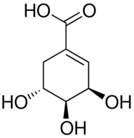 ShikiFactory100's tweet photo. The @ShikiFactory100 project aims to produce more than 100 high-value compounds from the #shikimate pathway, a #metabolic pathway used by #organisms, such as bacteria, fungi and plants, to synthesise shikimate. https://t.co/8uNqlfMErY