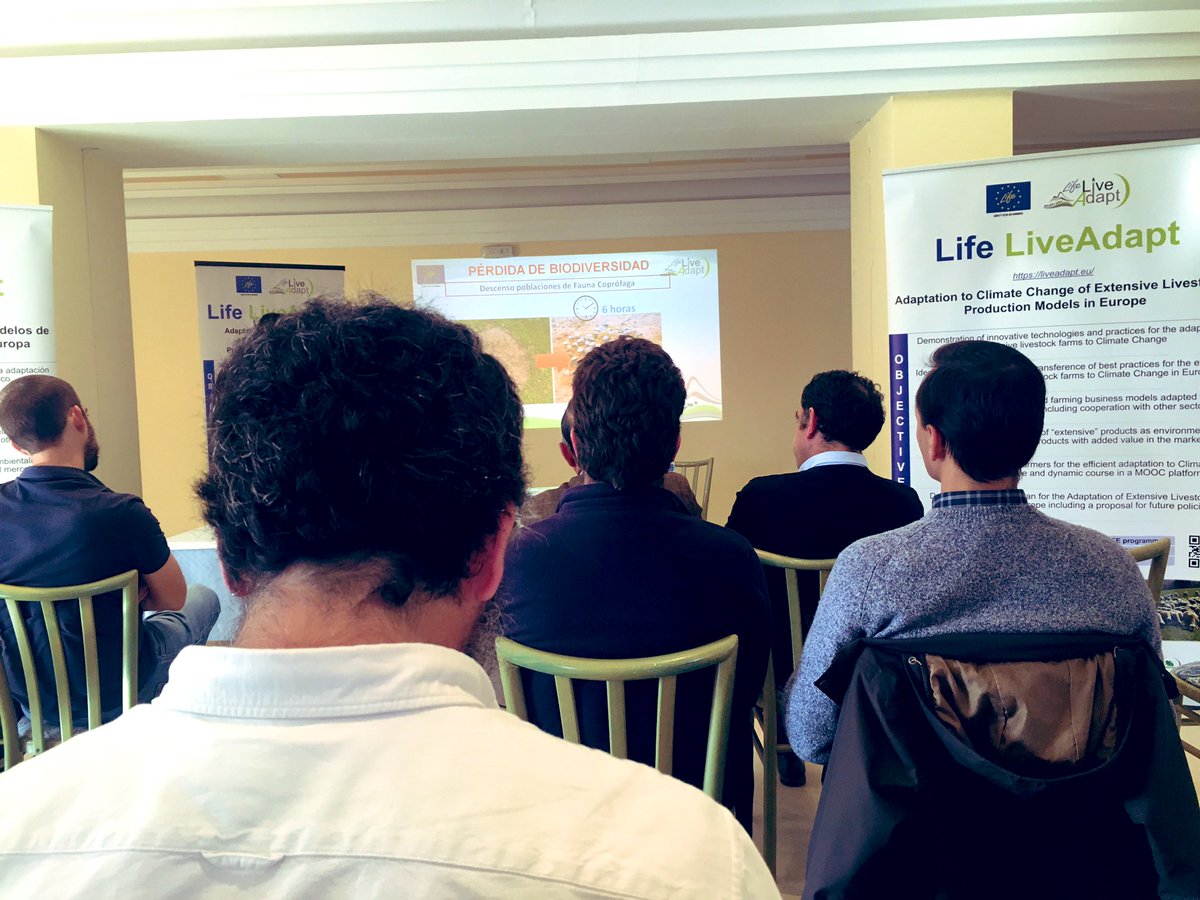 JulioMajadas's tweet photo. En Fregenal con @LifeLiveadapt @ucocatedrage @entre_tantos @adpmmertola @gestionaglobal @FEDEHESA_ @InstitutElevage  en un taller con ganaderos hablando de los efectos del CC en la dehesa https://t.co/QjF6ifAqjf