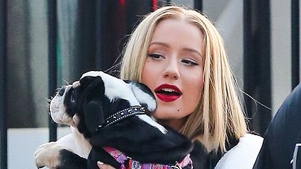 Twitter hesabından açıklama yapan 29yaşındaki @ıggyazalea gece hayvanları ile uyuyan insanları onaylamadığını söyledi.Bu yazısına Missy Elliott cevap verdi.Missy bebeklerim gece benle uyumadığı zaman stres oluyorum yazdı.Iggy ile Missy Elliot arasında karşılıklı atışma devam etti