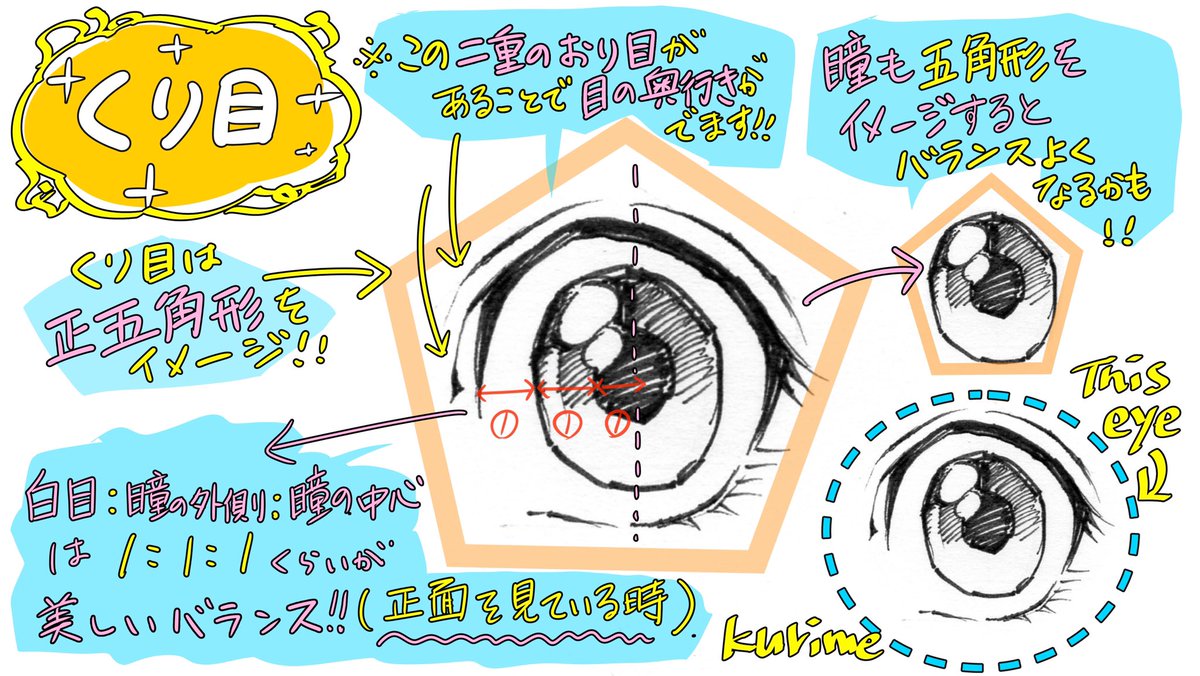 【目の描き方】

キャラの目を描きわけたいときの

✨目の形の王道になる3タイプ✨ 