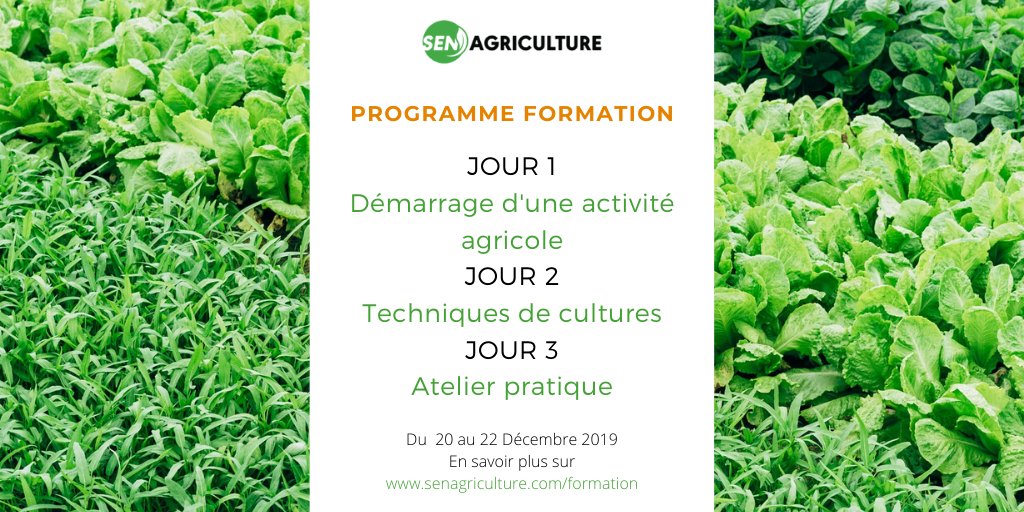 Lancer une activité agricole, faire le choix de cultures et du type d’activités, ces sujets seront abordés lors de notre formation initiatique aux activités agricoles du 20 au 22 Décembre. Sur inscription bit.ly/2rVlYMk #agrobusiness #senagriculture