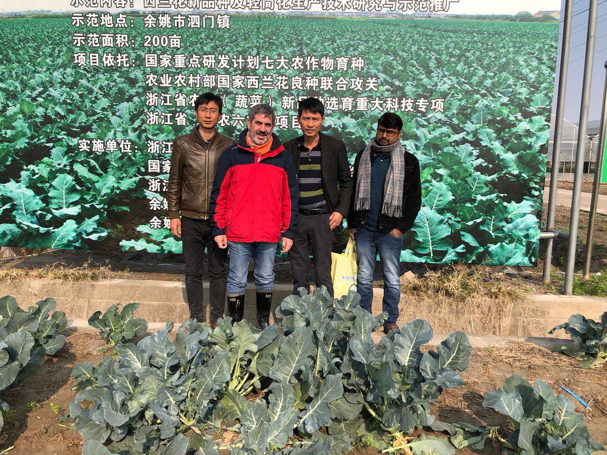 BRESOV_EU's tweet photo. Next exciting week for our #BresovEU Team!
Today the University of Catania (@uni_ct) ๐ฎ๐น & the Zhejiang Academy of Agricultural Sciences (ZAAS) ๐จ๐ณ, Bresov project partners, are visiting Yuyao broccoli ๐ฅฆ growers!
We are so #FascinatedWithScience!
#PlantBreeding #H2020 #organic https://t.co/2dulqedk0N