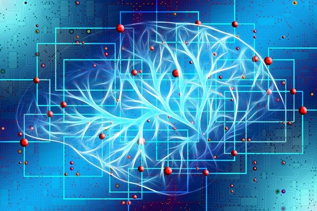 Wrawindex's tweet photo. 3 ways neuroscience can improve your performance?  Managing stress, decision-making and improving your motivation.  Understanding the brain helps both HR professionals and employees, says @PeopleMgt ➡️https://t.co/BmSElzp2mb

#neuroscience #stress #mentalhealth https://t.co/9dXH6kQUEW